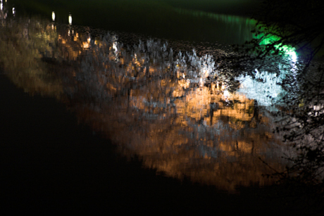 千鳥ヶ淵の夜桜