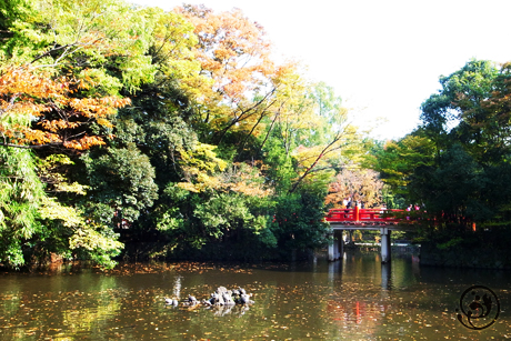 大宮 氷川神社